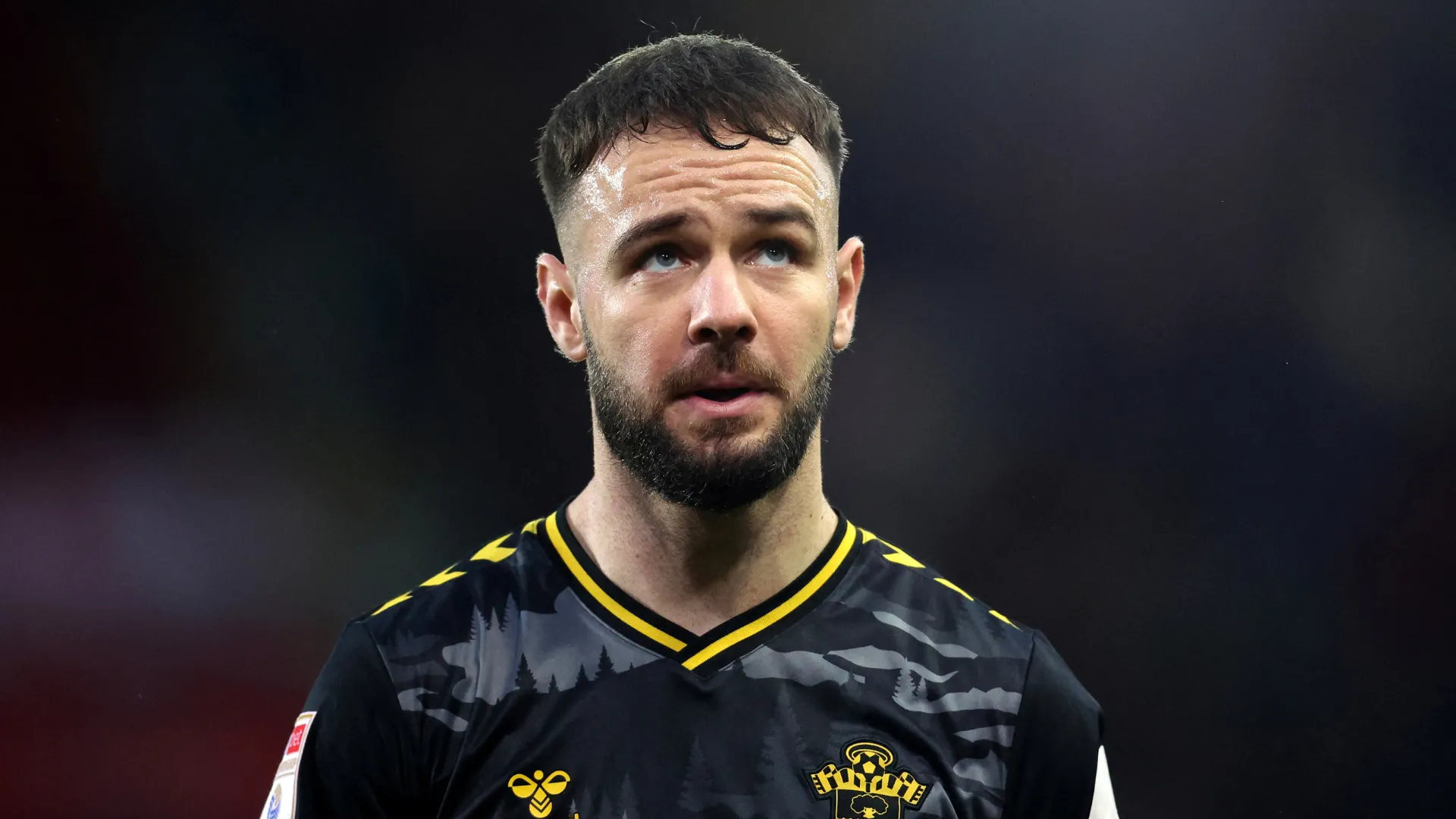 Adam Armstrong ăn mừng bàn thắng trong màu áo Southampton tại giải Championship.