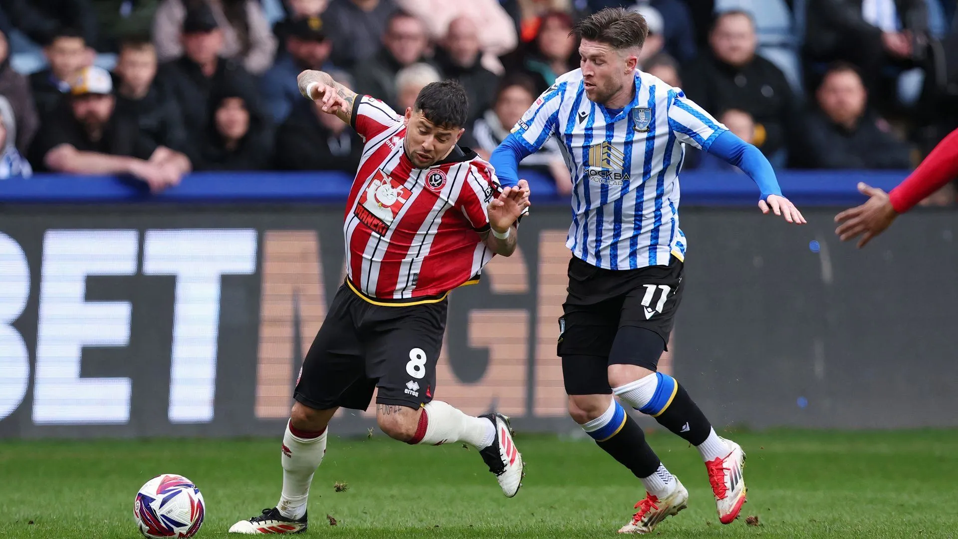 Josh Windass thi đấu cho Sheffield Wednesday trong trận gặp Sheffield United