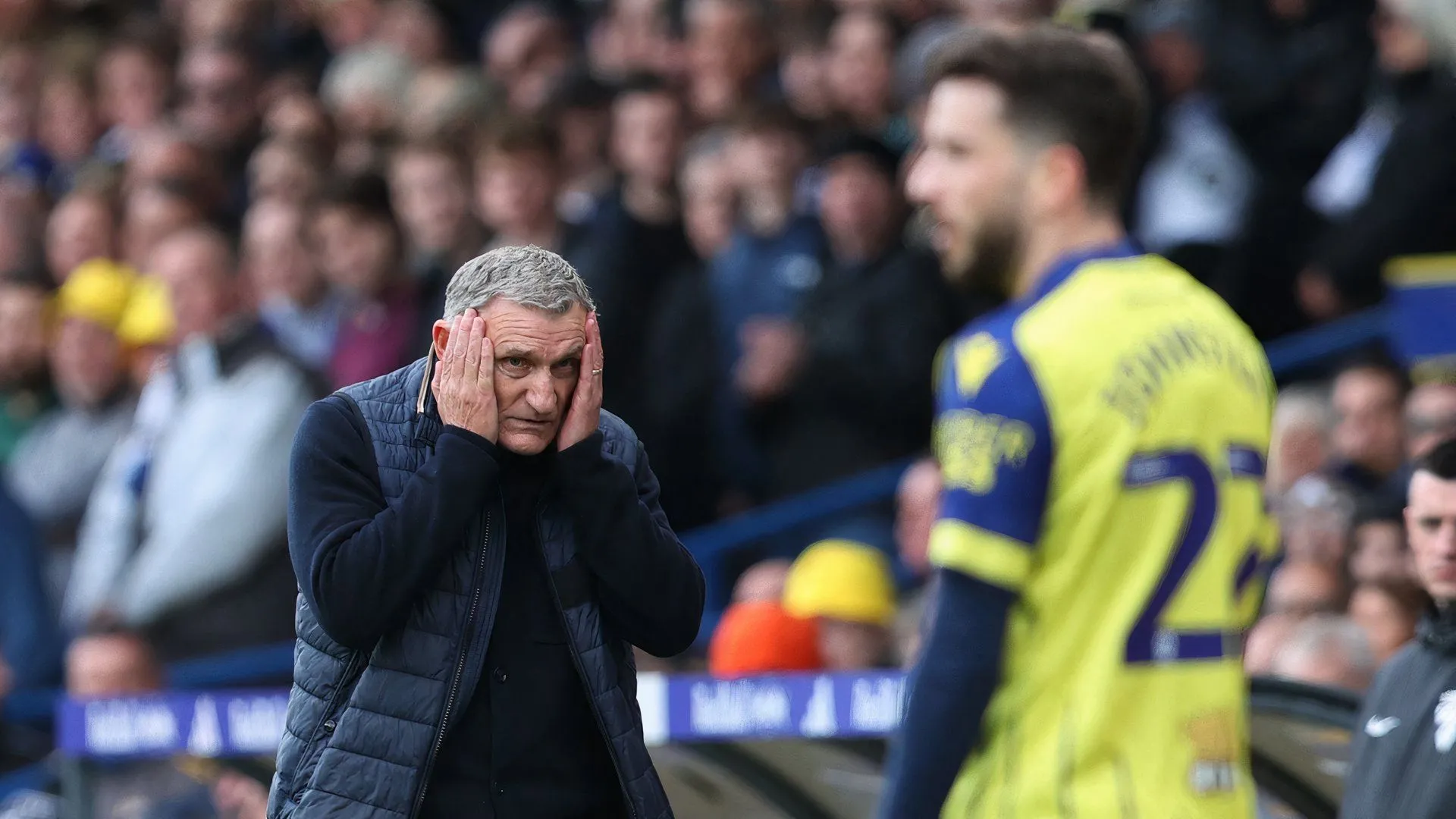 Tony Mowbray trong thời gian dẫn dắt West Brom và tương lai tiềm năng tại Hull City.