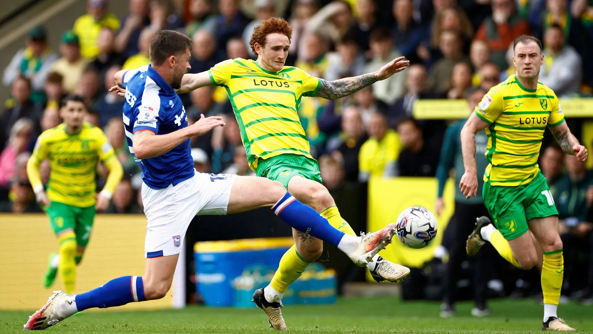 Josh Sargent thi đấu cho Norwich City